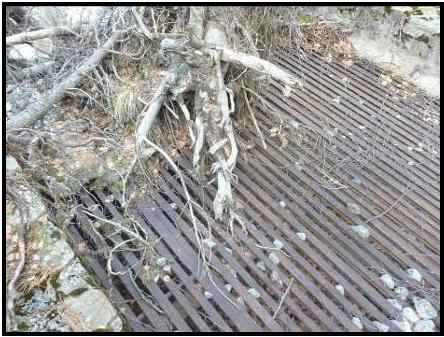 la grille de plus prs